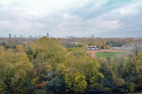 Park view.jpg