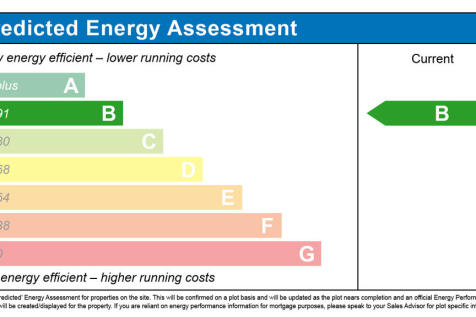 pinefields, livingston