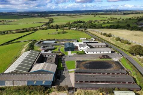 Belstane Stables