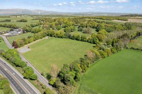 Front Paddock