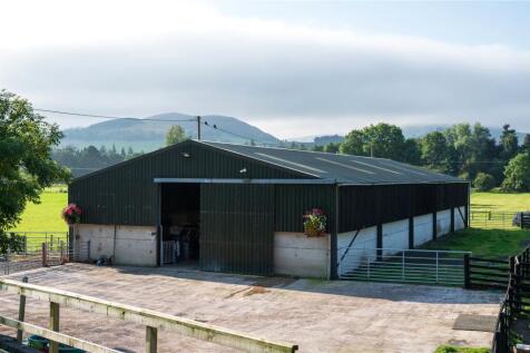 Modern Shed