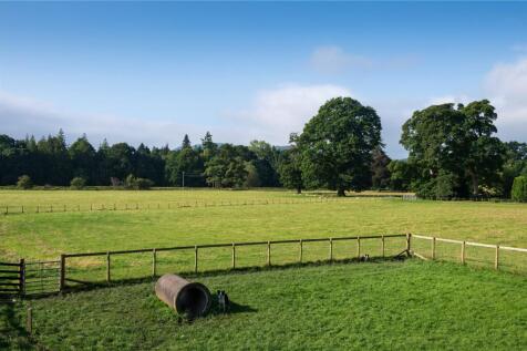 Dog Enclosure