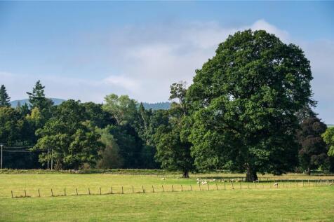Mature Trees