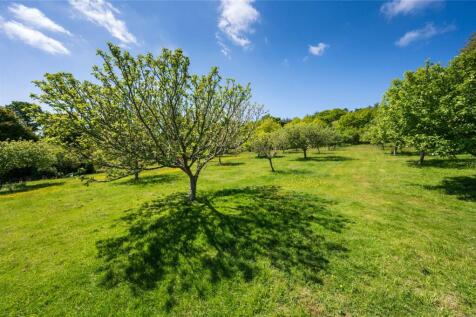 Orchard