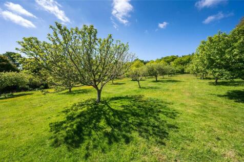 Orchard