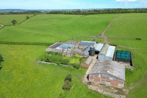 Lot 1 - Steading