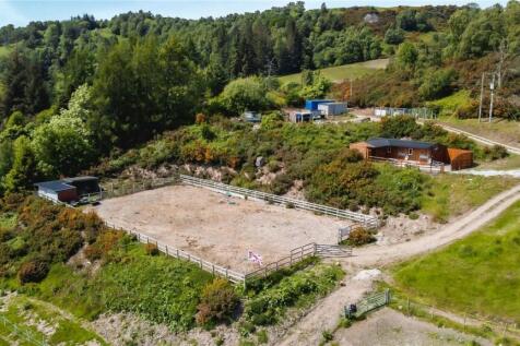 Paddock/Land