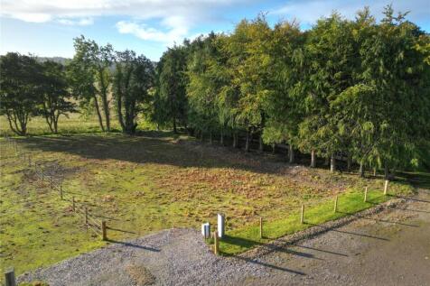 Plot 3
