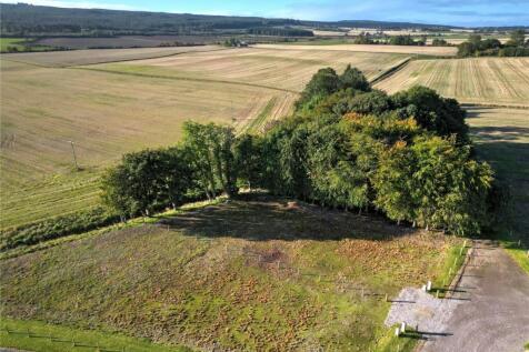 Plot 3