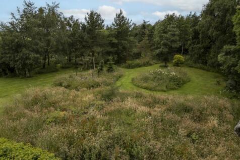 Grounds