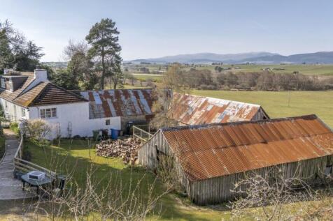 Steading