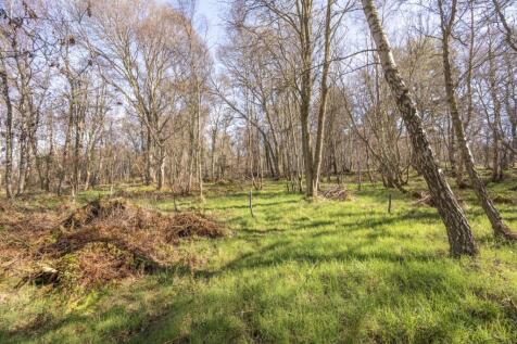 Woodland