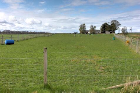 Paddocks