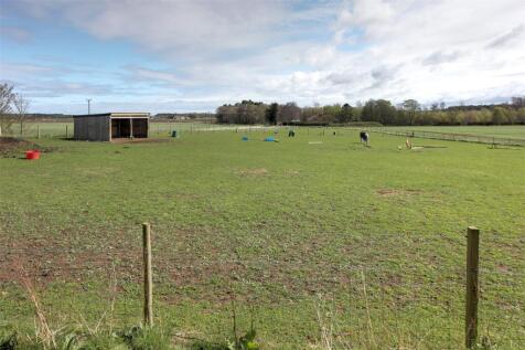 Paddocks