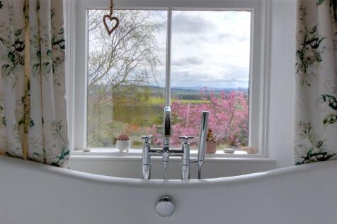 Bathroom View