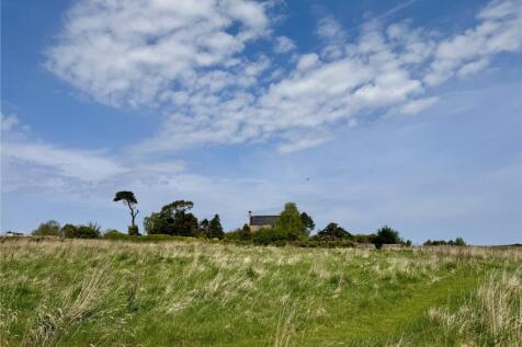 Grazing Paddock