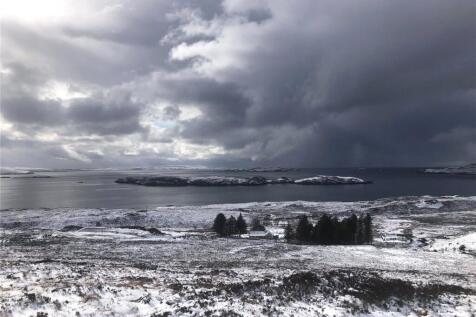 Winter Setting