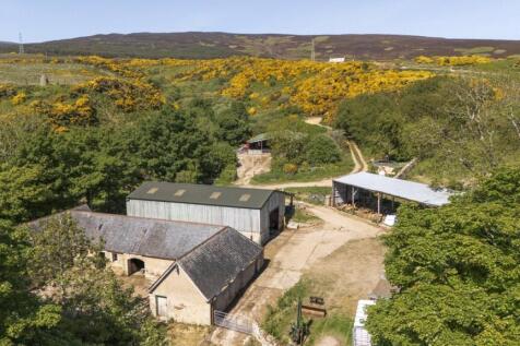 Steading