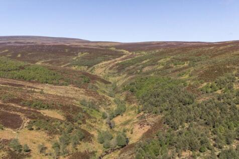 Crofted Hill