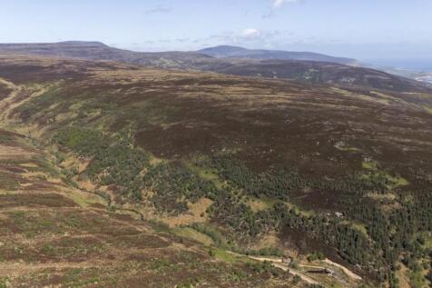 Crofted Hill
