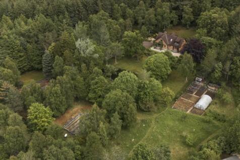Overview