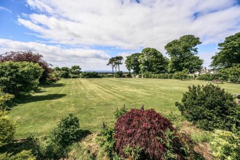 Grounds