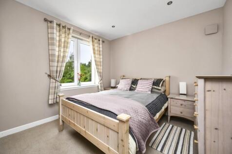 Lily Lodge