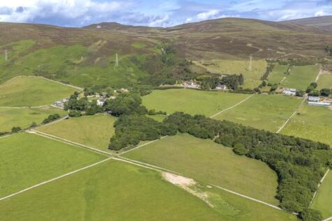 Grounds