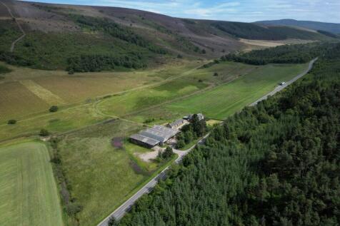 Netherglen
