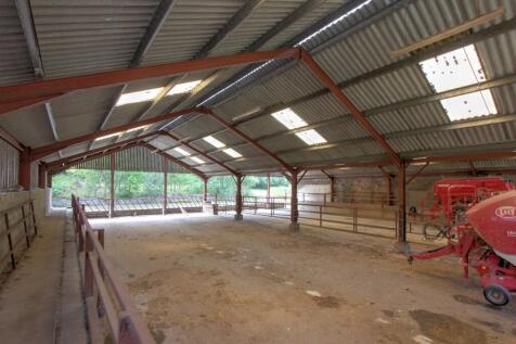 Cattle Shed