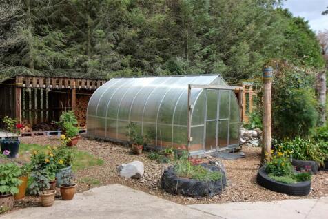 Polytunnel