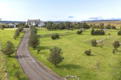 Driveway Setting
