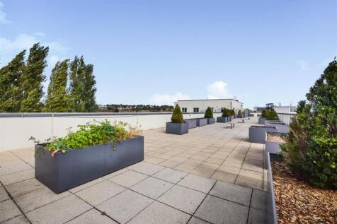 Communal Roof Terrace