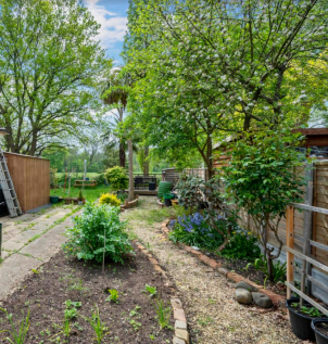 Garden