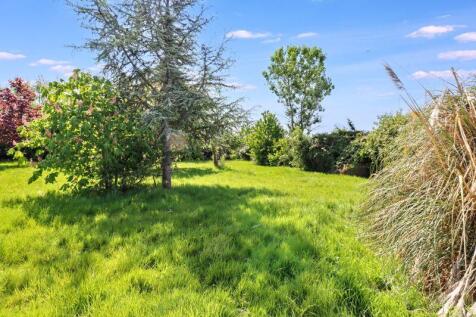 Garden (3)