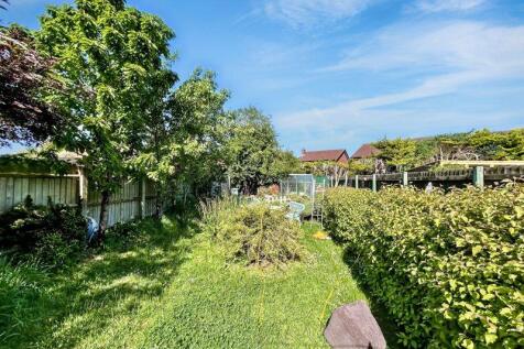 Garden (2)