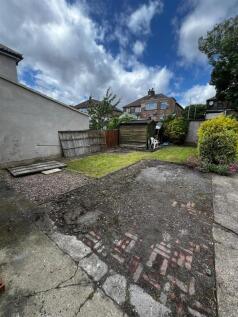 Back Garden