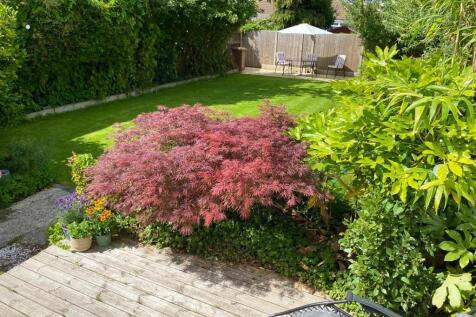 new garden 2.jpeg