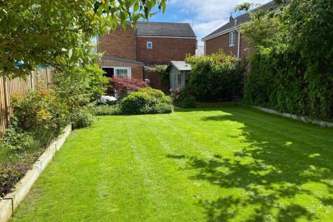 new garden 3.jpeg