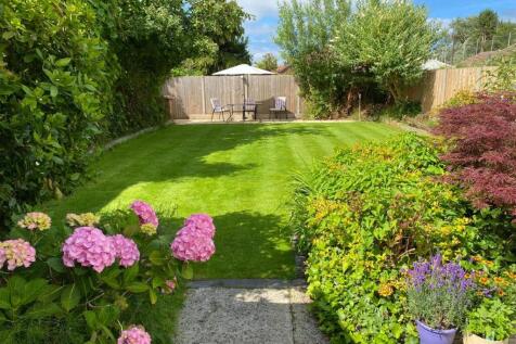 new garden.jpeg