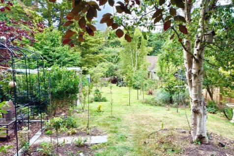 GARDEN 1.jpg
