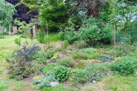 GARDEN 9.jpg