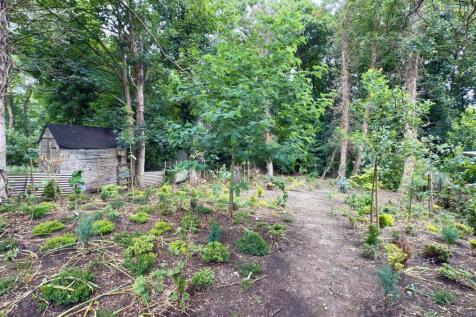 REAR ORCHARD.jpg