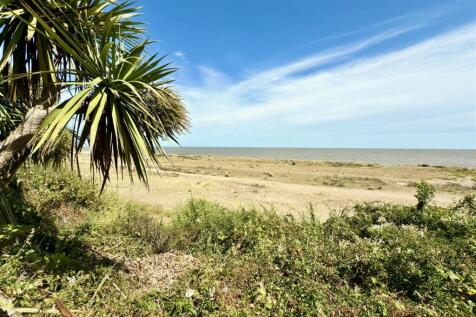BEACHVIEWS FROM GARDEN.jpg