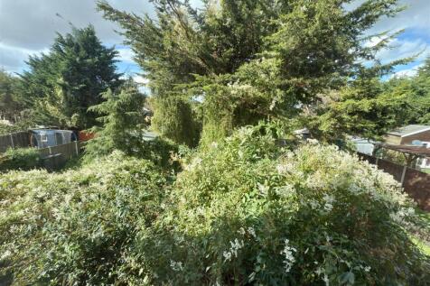 GARDEN.jpg