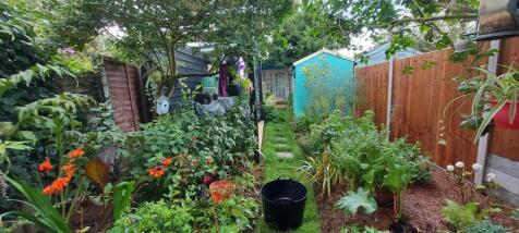 Garden In Flower.jpg