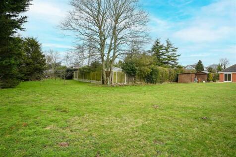 Rear Garden (2)