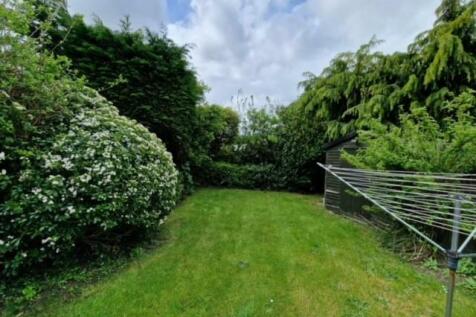 Garden 2