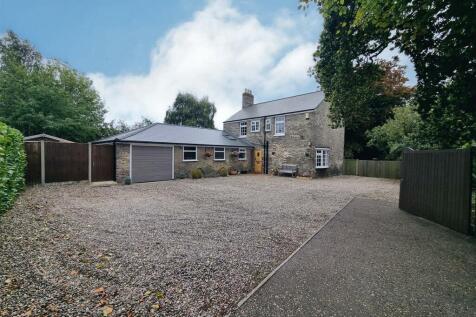 Driveway &amp; Rear