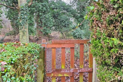 Rear Gate To Woods